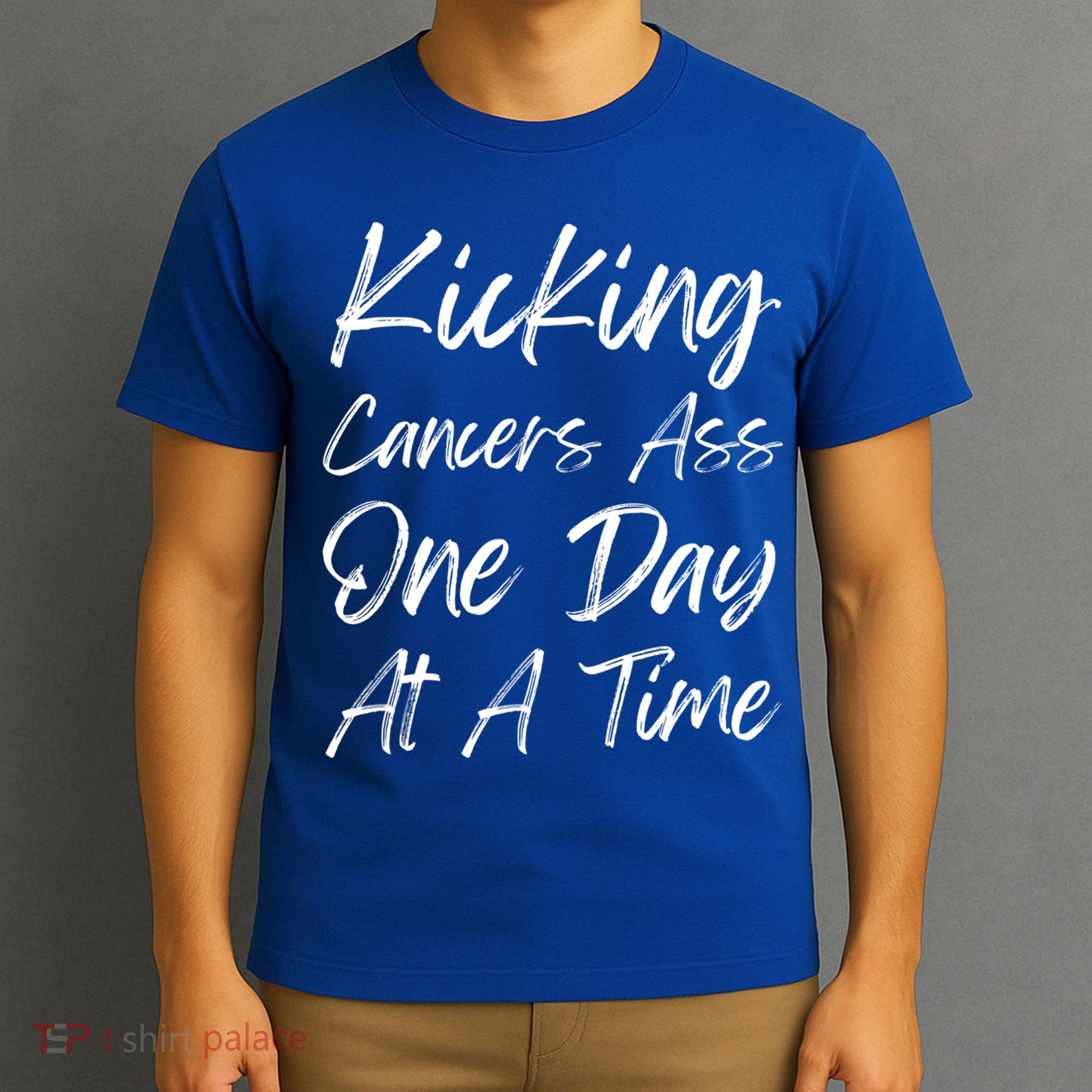 Kicking CancerS Ass One Day At A Time Cancer Awareess Gift T-Shirt