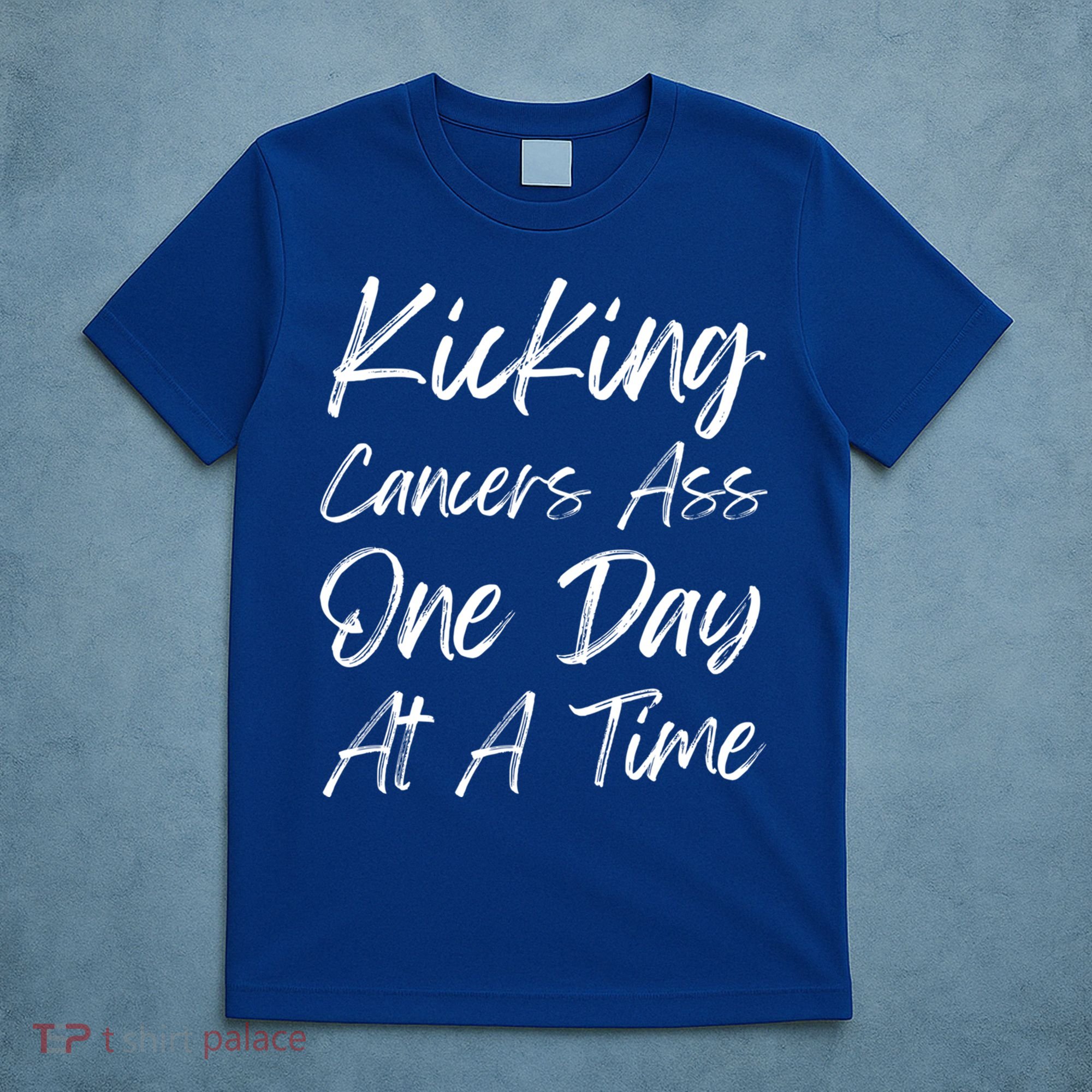 Kicking CancerS Ass One Day At A Time Cancer Awareess Gift T-Shirt