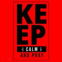 Keep Calm And Party Funny Slogan Santa Hat thumb 1