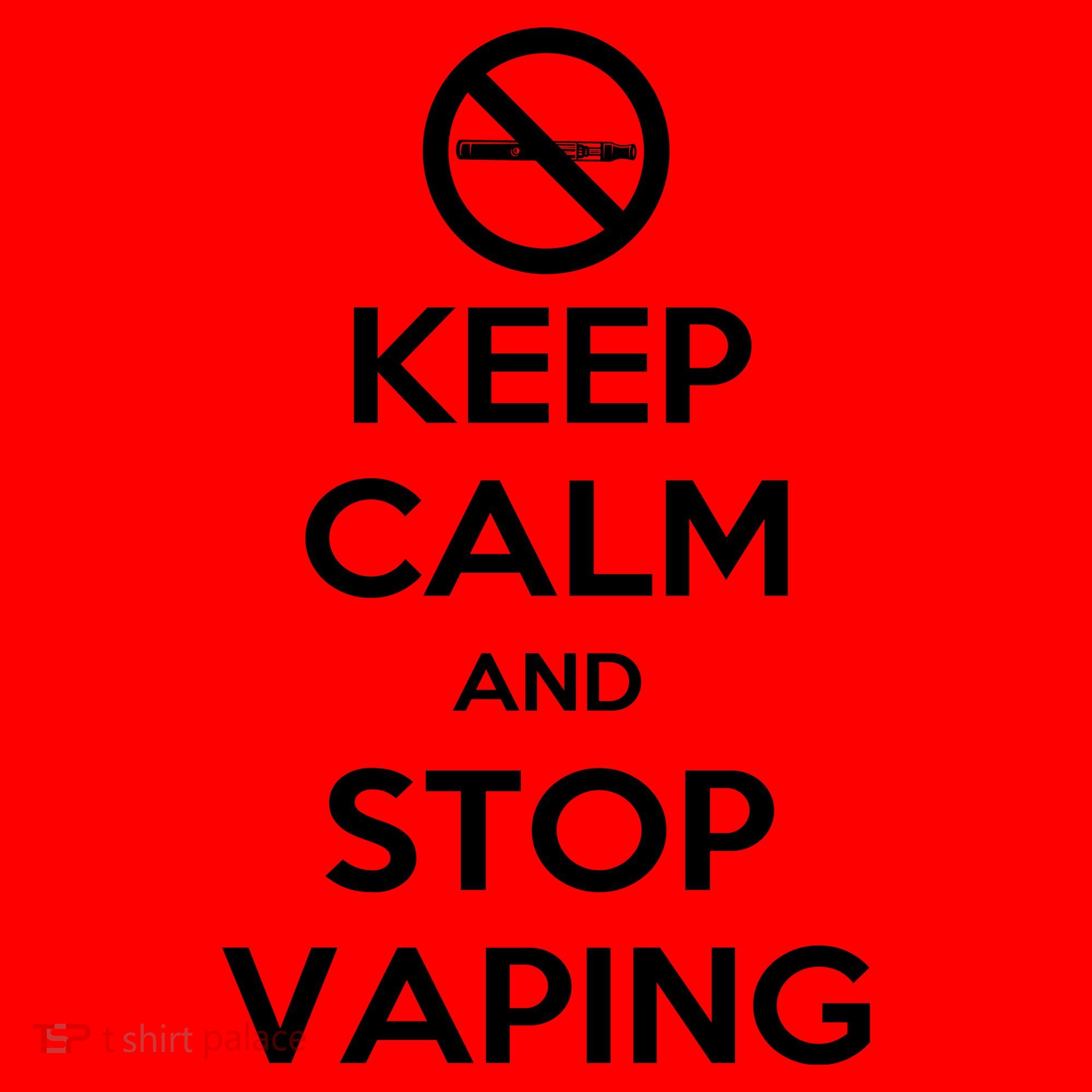 Keep Calm And Stop Vaping Santa Hat