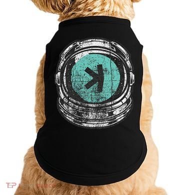 Kaspa Crypto Coin Bullrun 2024 Freedom Cryptocurrency Doggie Tank