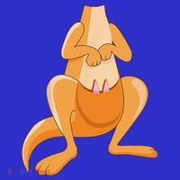 Kangaroo Costume For Halloween Kangaroo Animal Baby Bodysuit thumb 2