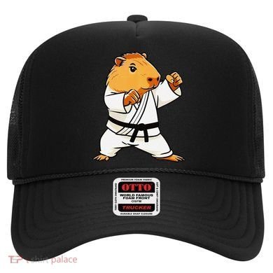 Karate Capybara Funny Martial Arts Mma Hat