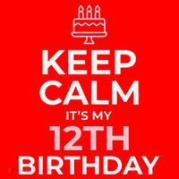 Keep Calm It's My Birthday 12th 12 Year Old Santa Hat thumb 1