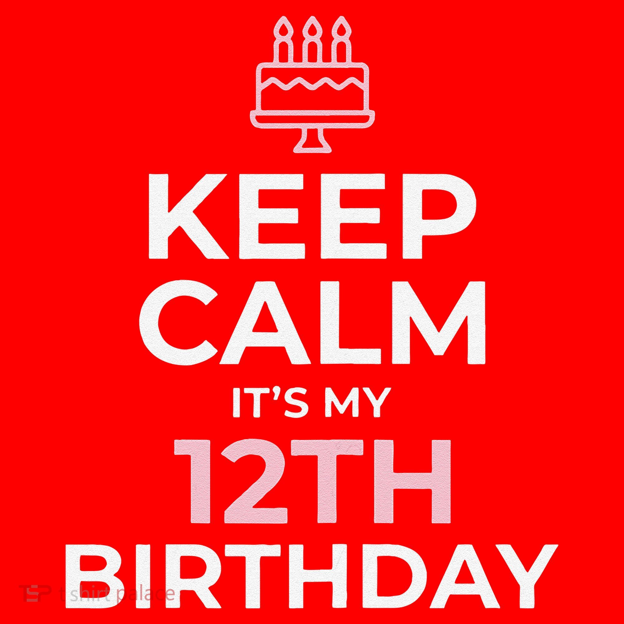 Keep Calm It's My Birthday 12th 12 Year Old Santa Hat
