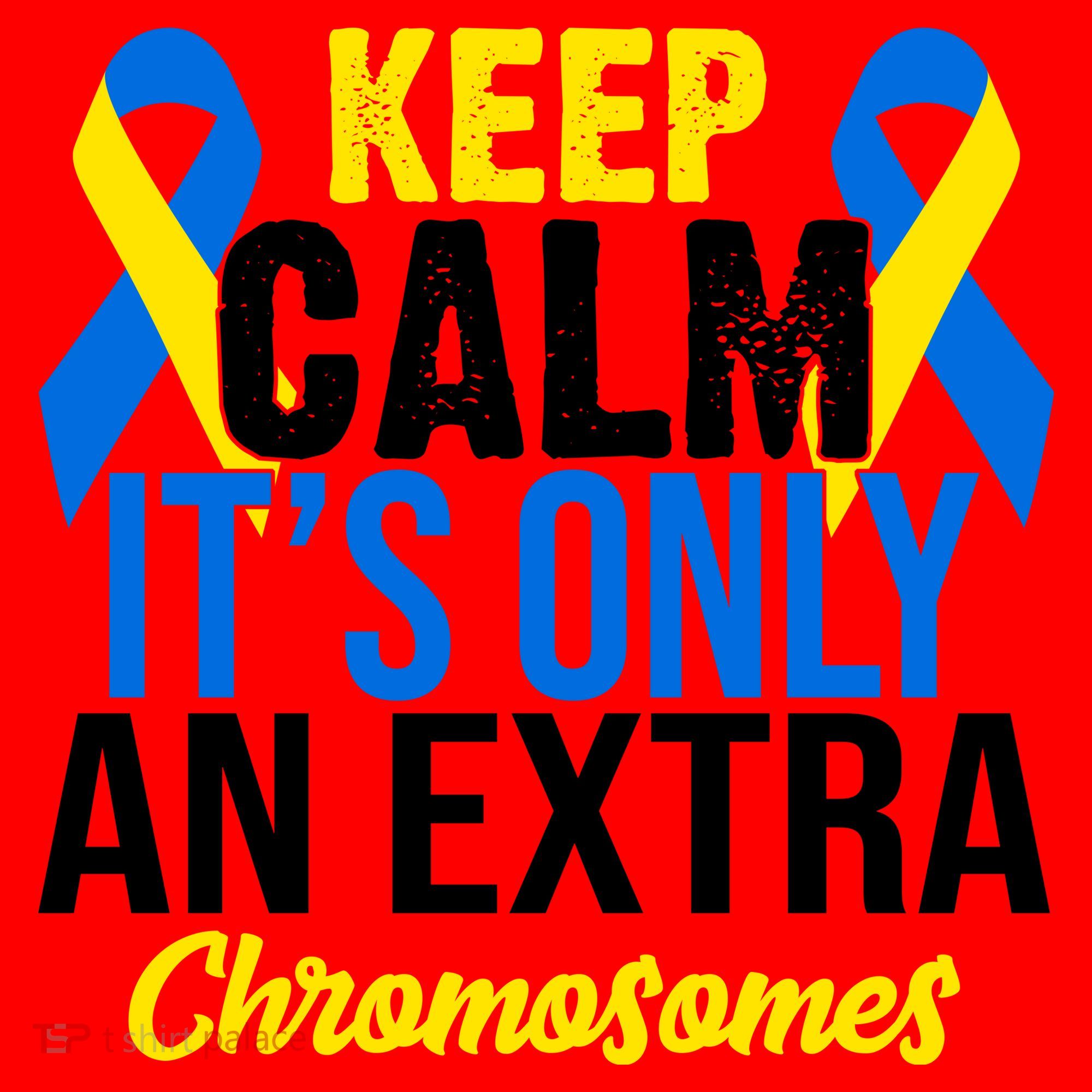 Keep Calm Its Only An Extra Chromosomes Down Syndrome Santa Hat