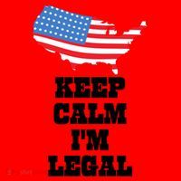 Keep Calm IM Legal Santa Hat thumb 1