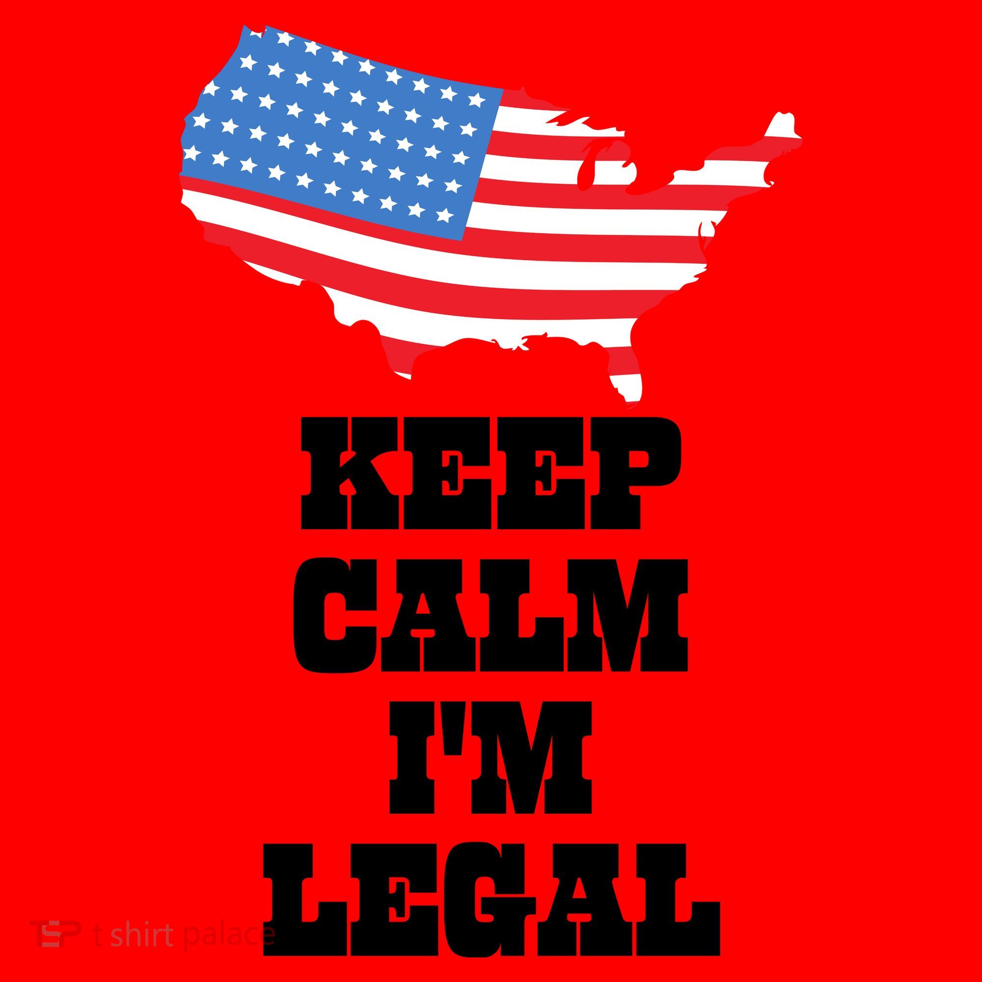 Keep Calm IM Legal Santa Hat