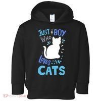 Kids Cat Just A Boy Who Loves Cats Gift For Cat Lovers TShirt Toddler Hoodie thumb 0