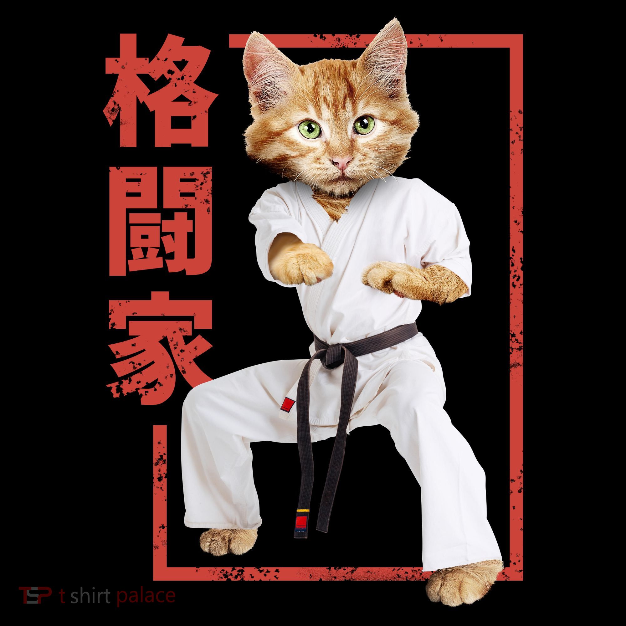 Karate Cat Hoodie