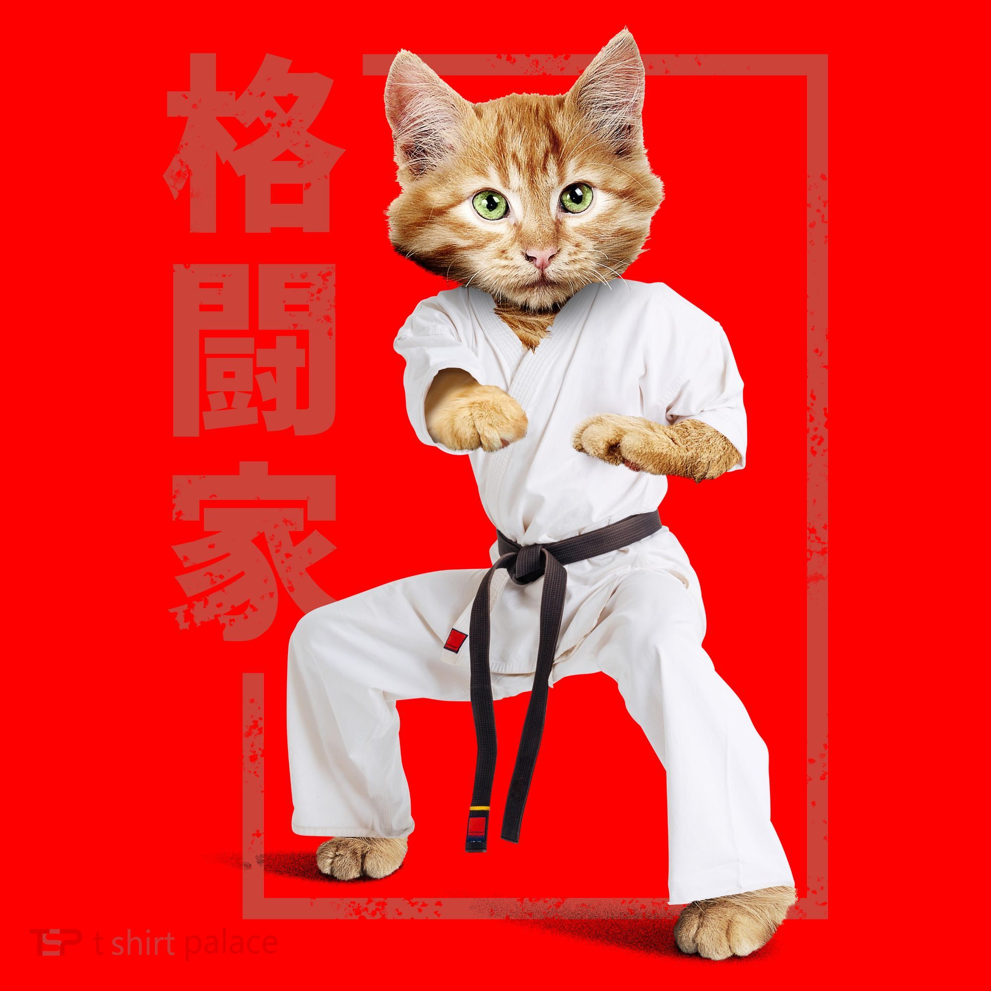 Karate Cat Santa Hat