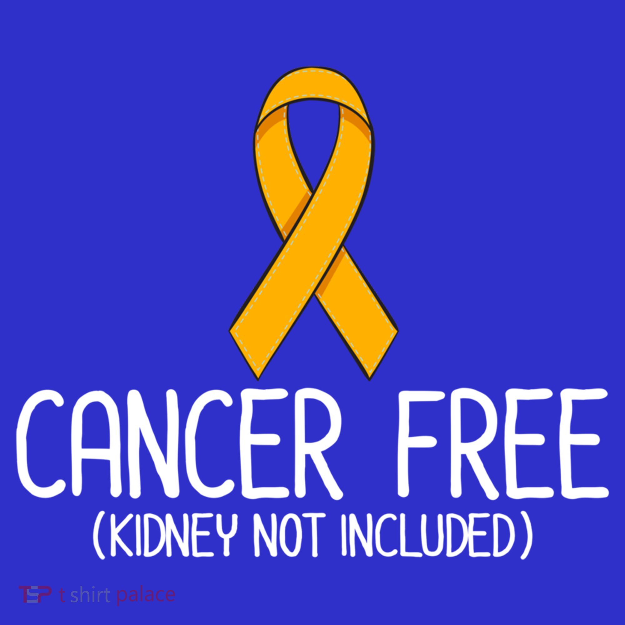 Kidney Cancer Orange Ribbon Awareness Survivor Gift Toddler Hoodie
