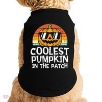 Kids Coolest Pumpkin In The Patch Boy Halloween Kids 2771 Doggie Tank thumb 0
