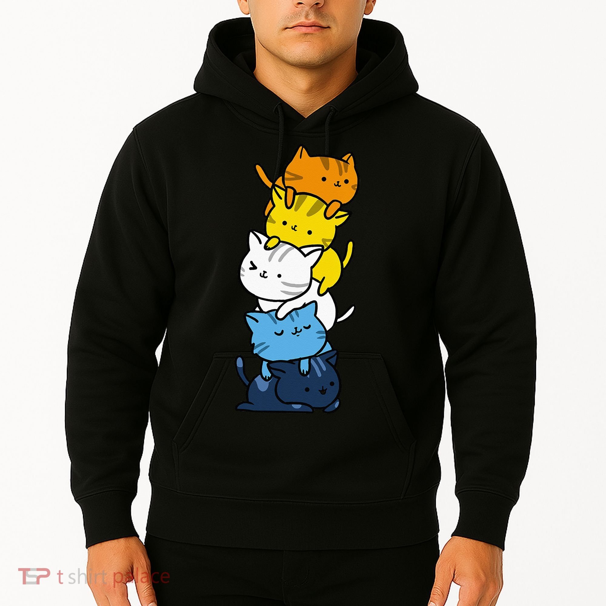 Kawaii Cat Pile Aroace Pride Flag Hoodie