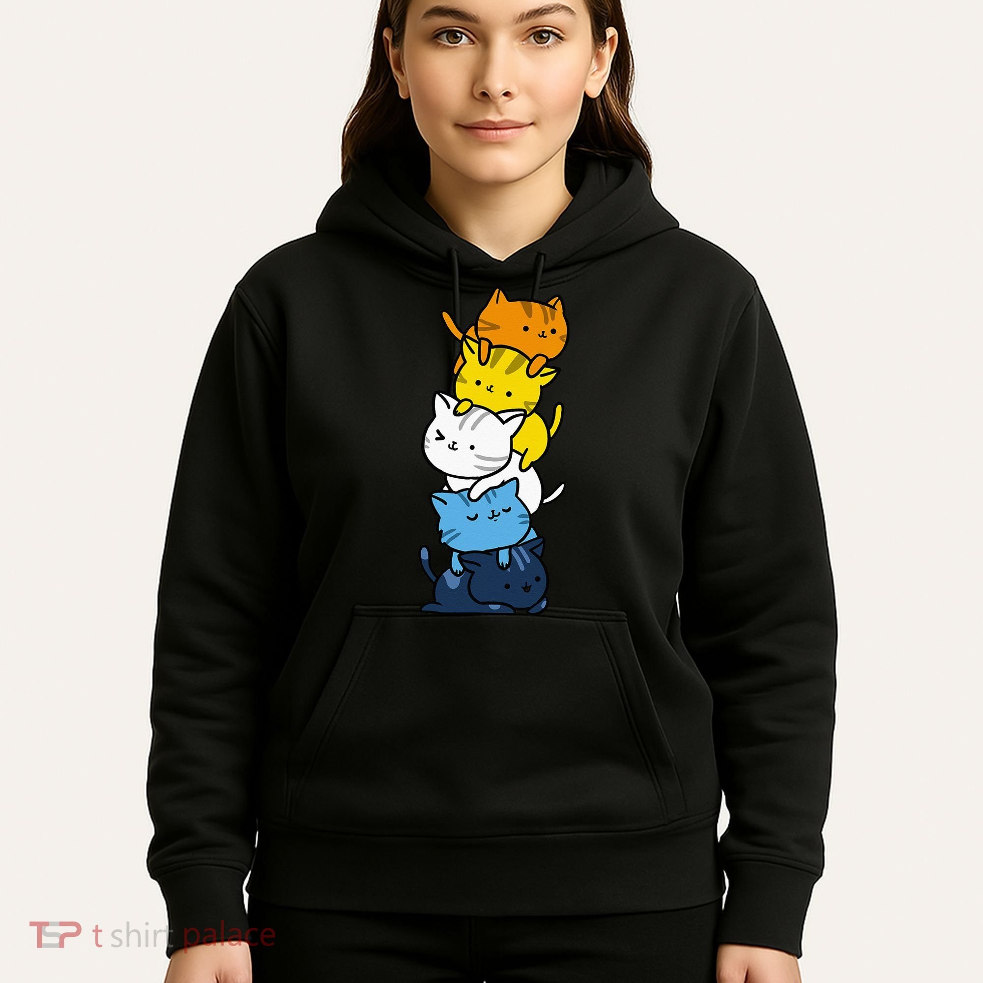 Kawaii Cat Pile Aroace Pride Flag Hoodie
