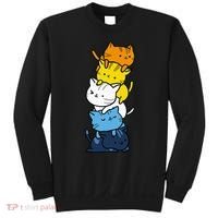 Kawaii Cat Pile Aroace Pride Flag Sweatshirt thumb 0