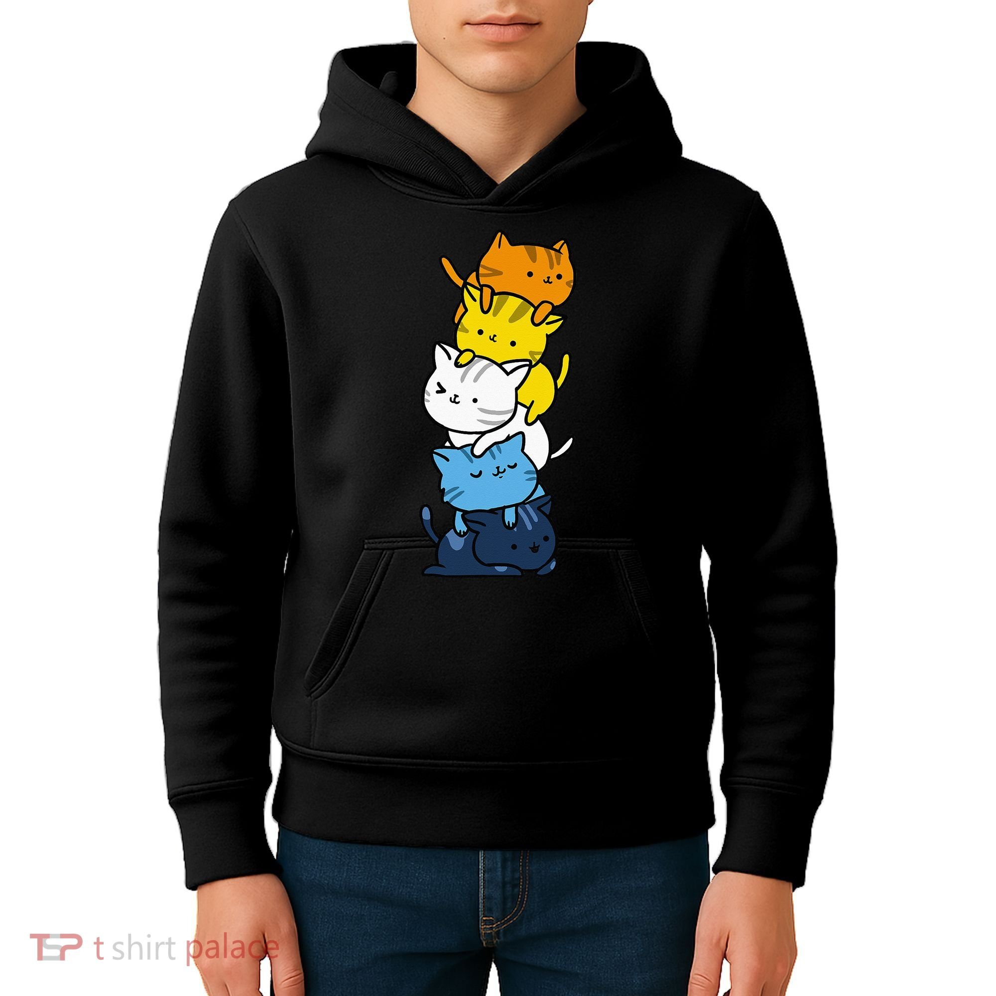 Kawaii Cat Pile Aroace Pride Flag Kids Hoodie