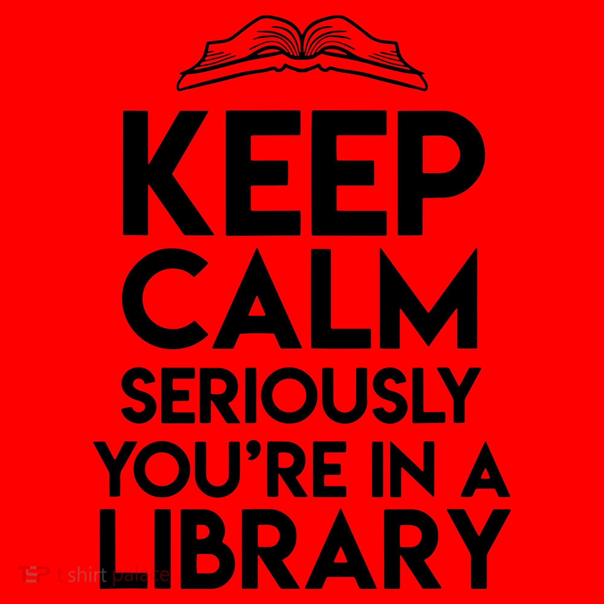 Keep Calm Seriously Youre In A Library Funny Librarian Gift Santa Hat