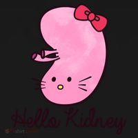 Kidney Disease Awareness Ney Transplant Donor Dialysis Gift Women's Hoodie thumb 2