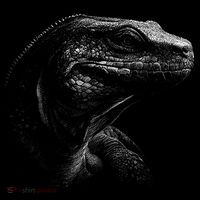 Komodo Dragon Sweatshirt thumb 3