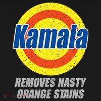Kamala Detergent Removes Stubborn Orange Stains Antitrump Kids Sweatshirt thumb 2