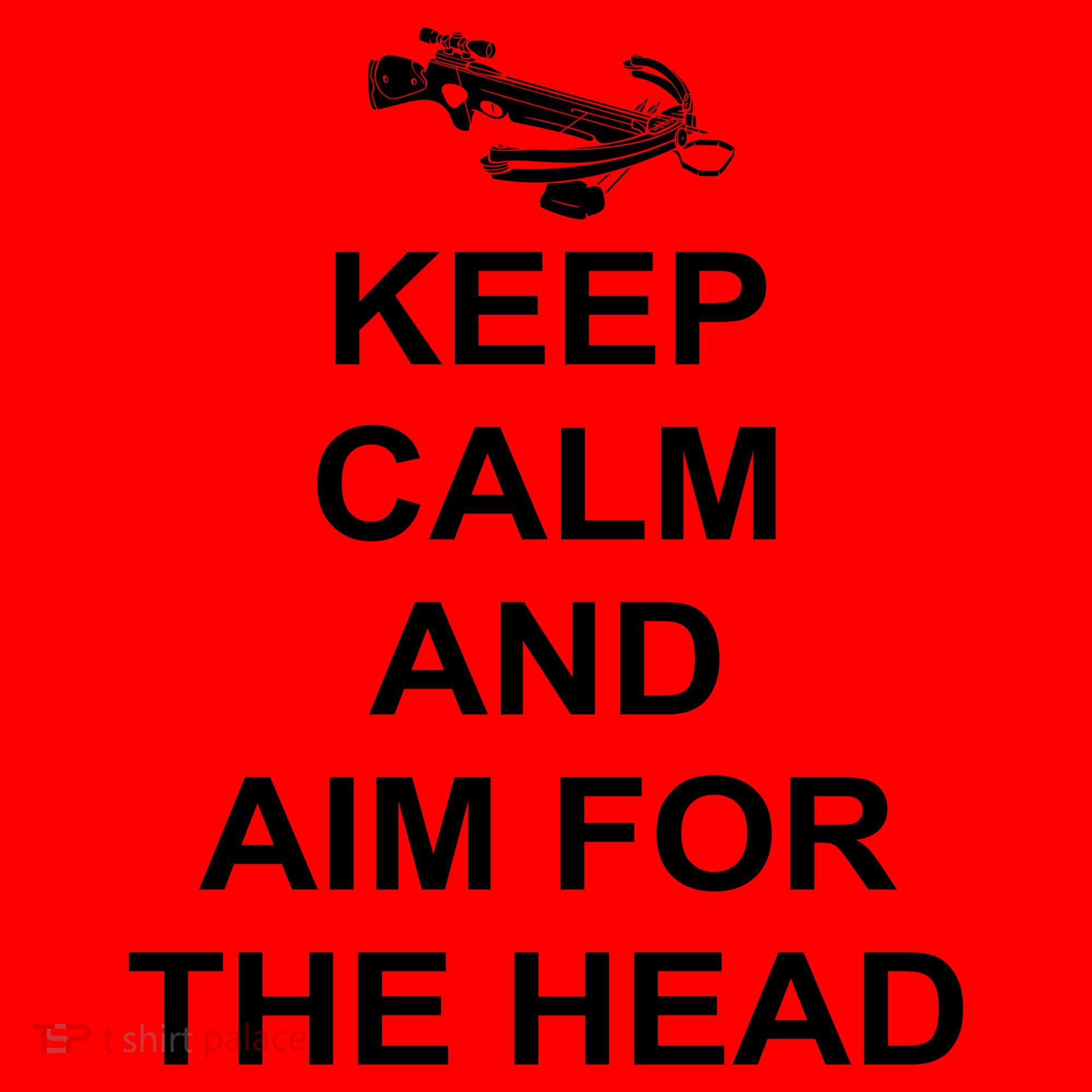 Keep Calm and Aim For The Head Santa Hat