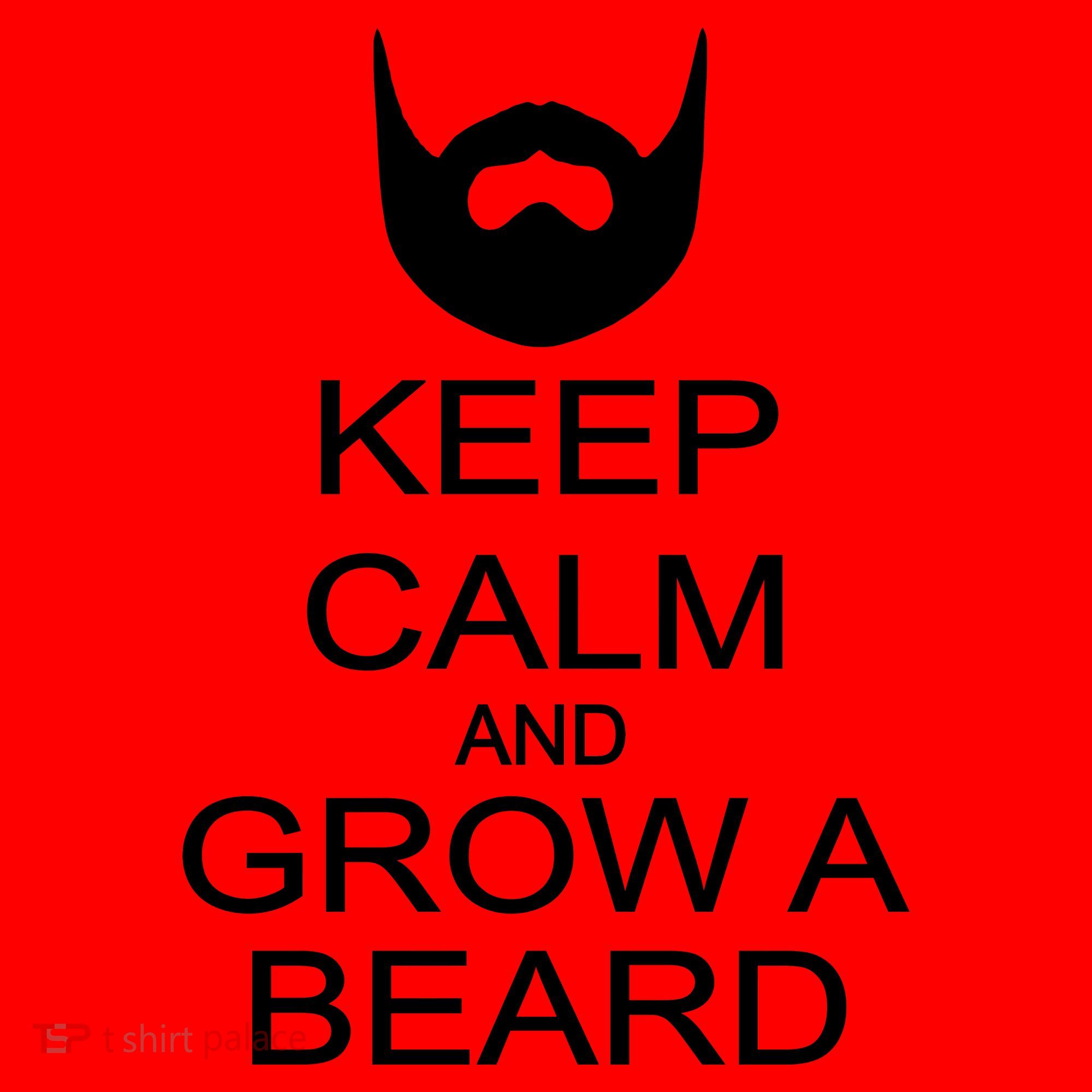 Keep Calm and Grow a Beard Santa Hat