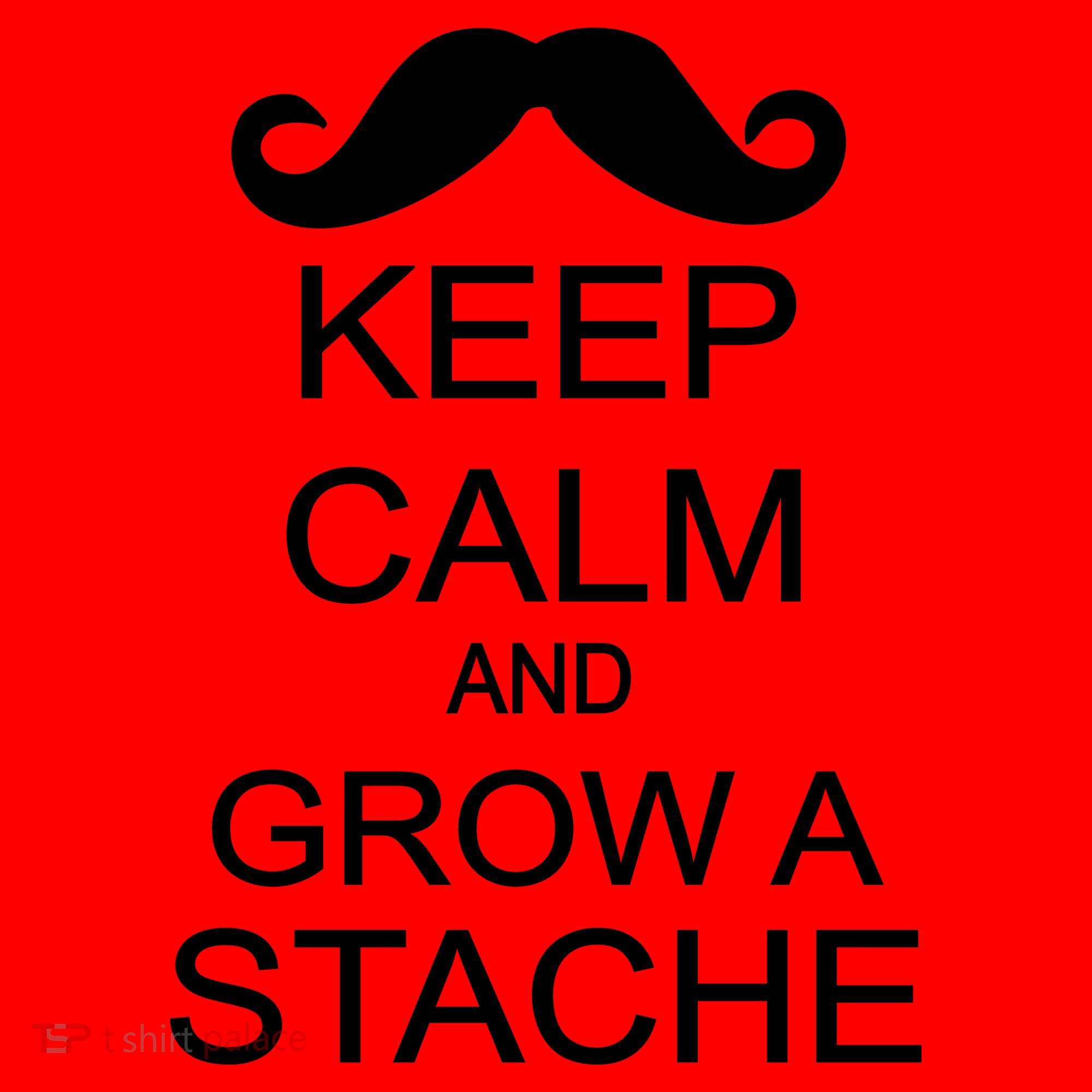 Keep Calm and Grow A Stache Santa Hat