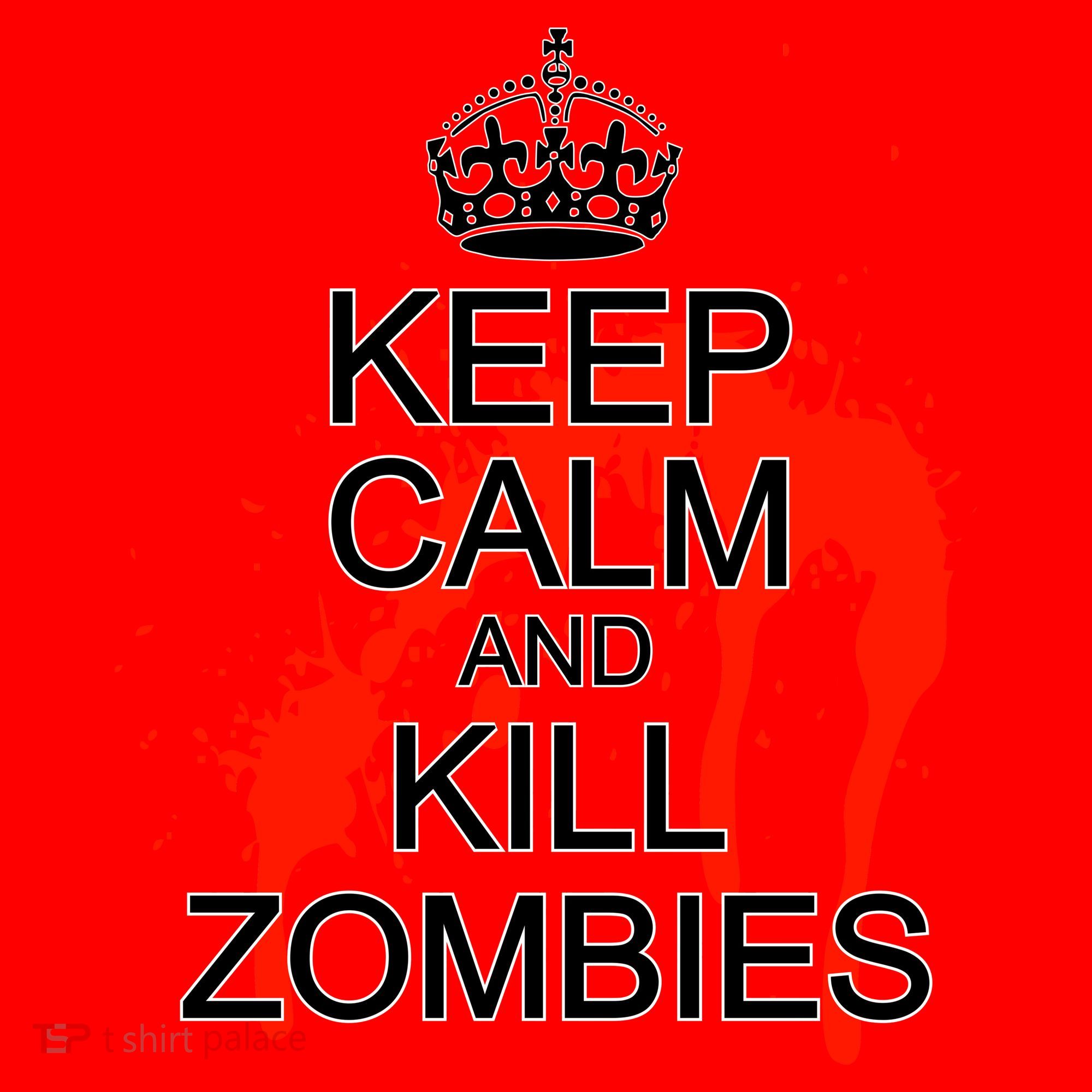 Keep Calm and Kill Zombies Santa Hat
