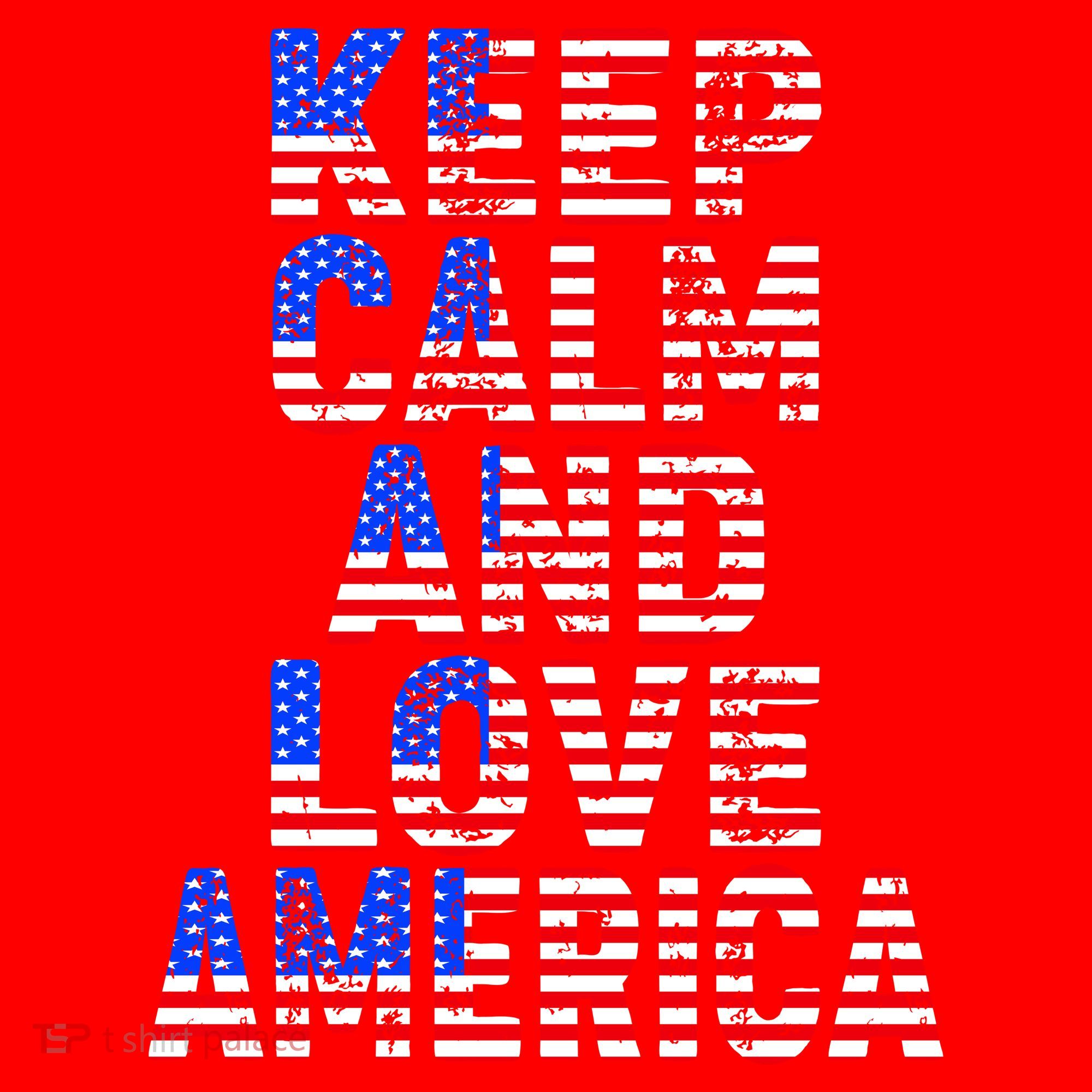 Keep Calm and Love America Santa Hat
