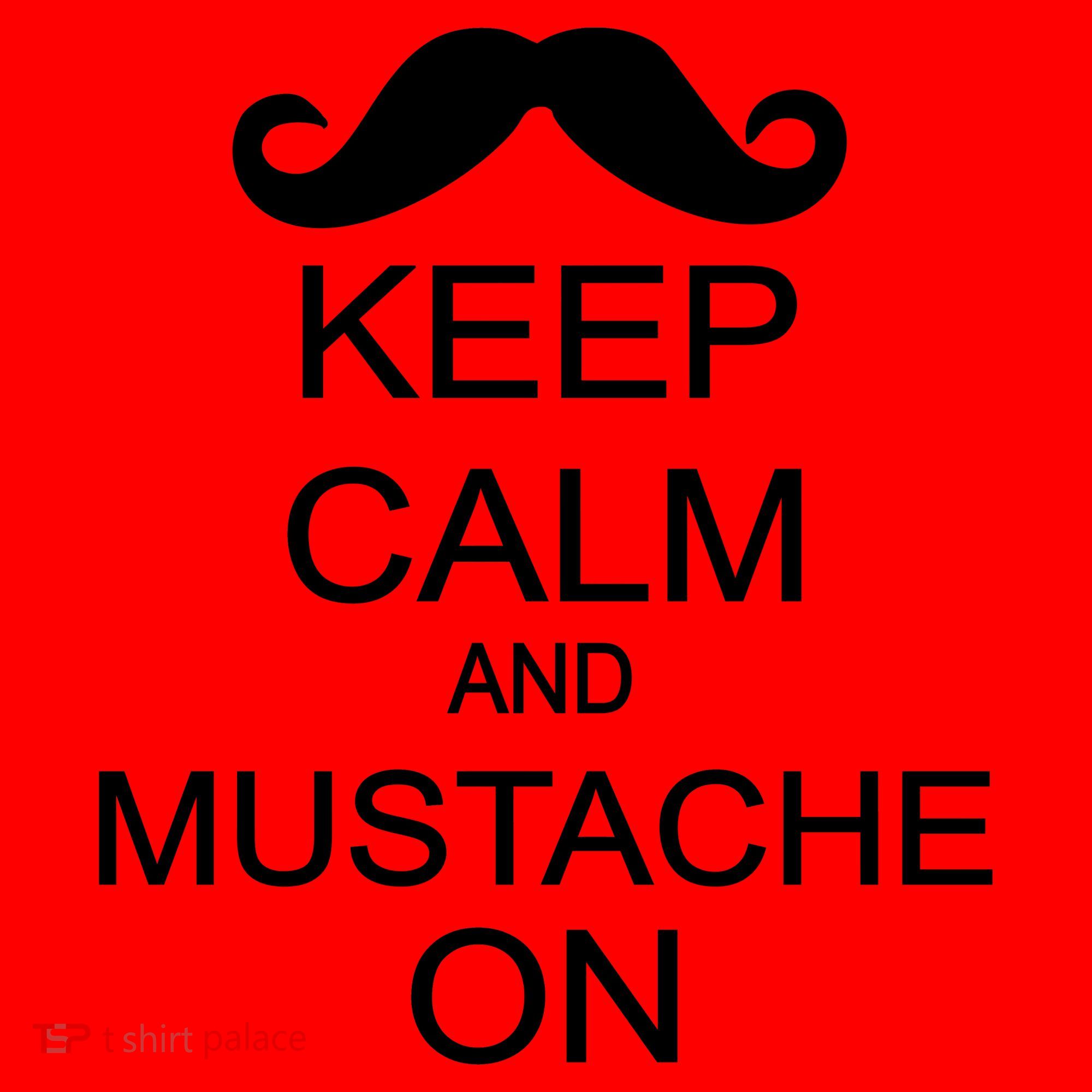 Keep Calm And Mustache On Santa Hat