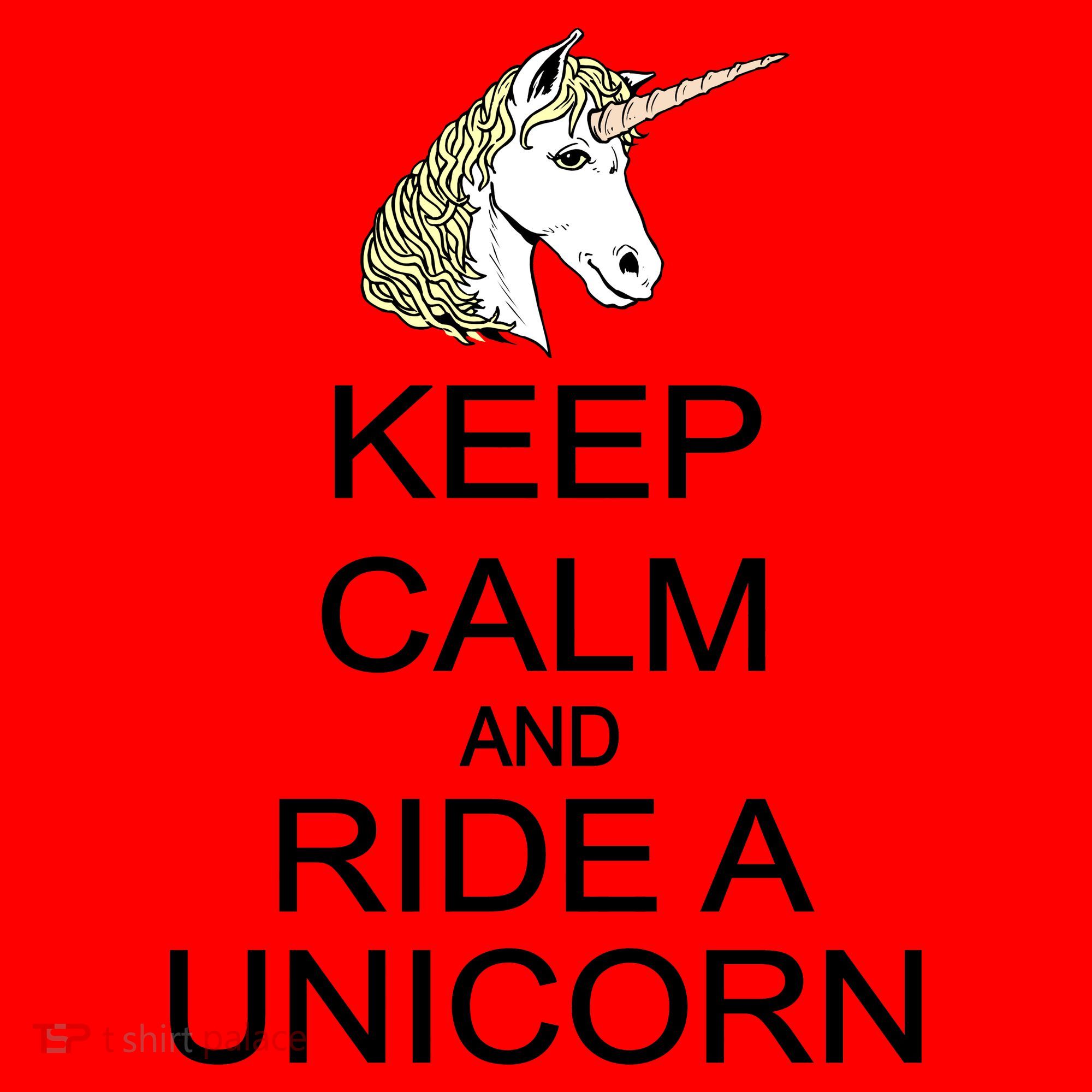 Keep Calm and Ride A Unicorn Santa Hat