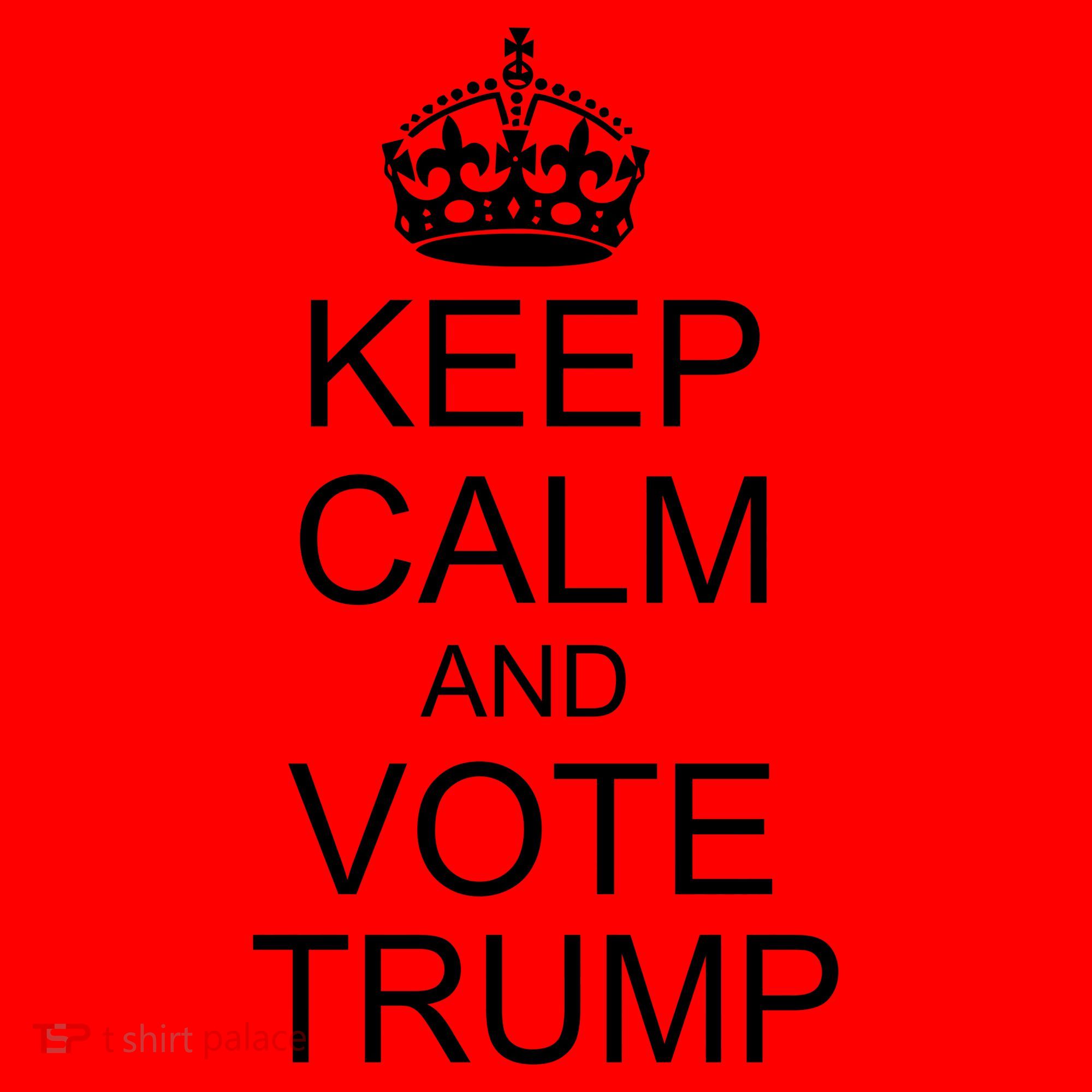 Keep Calm And Vote Trump Santa Hat