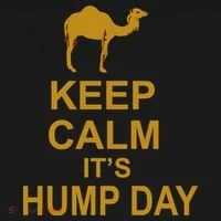 Keep calm, it's hump day T-Shirt thumb 7