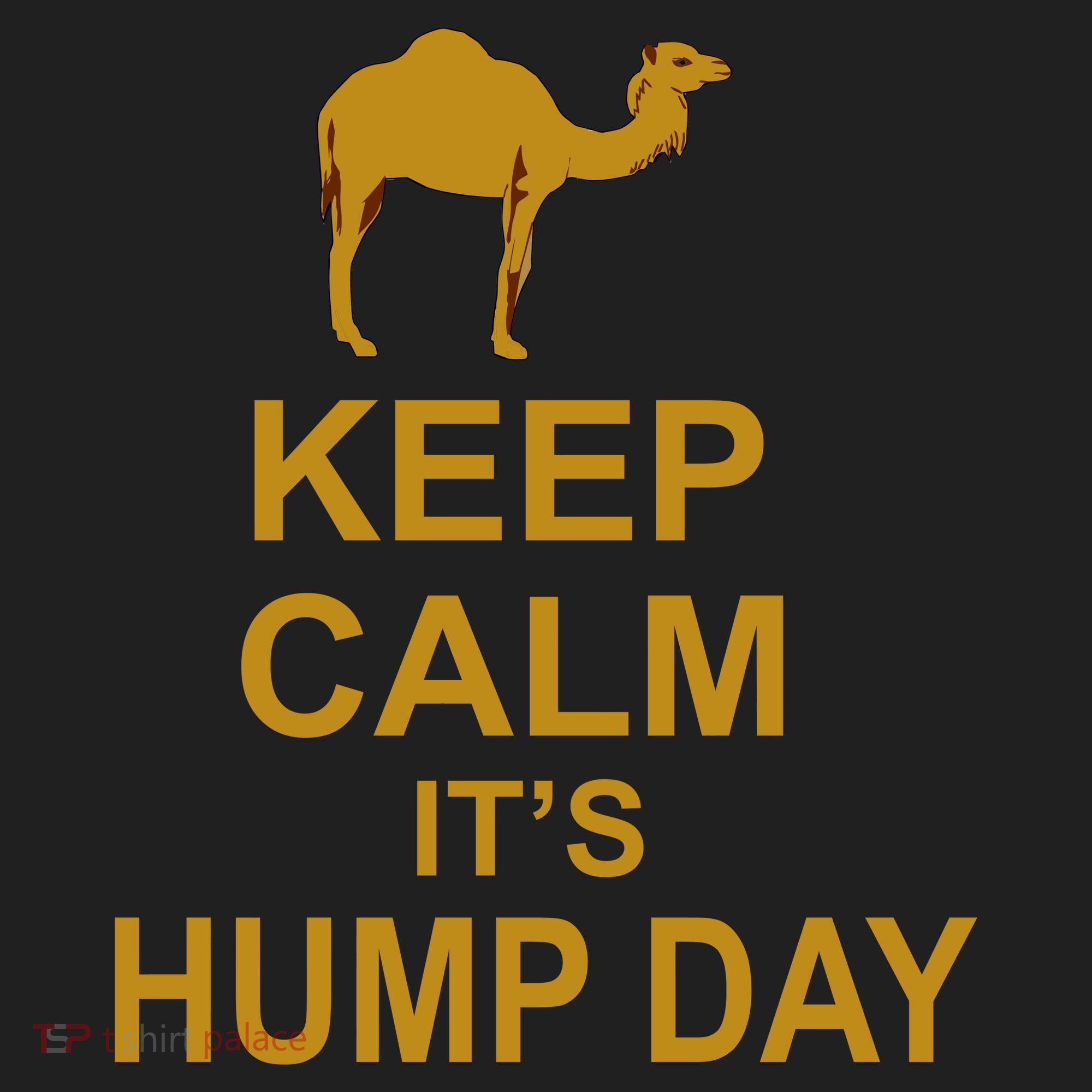 Keep calm, it's hump day Hat