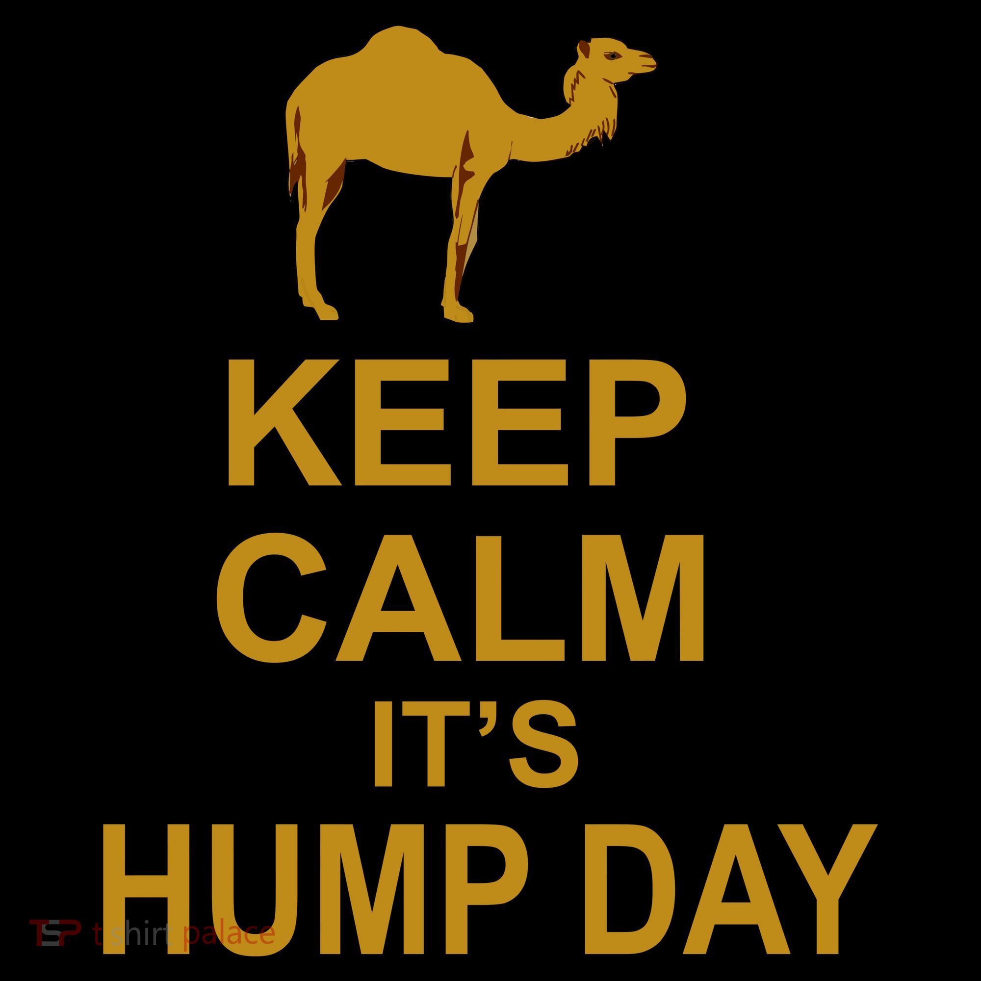 Keep calm, it's hump day Visor