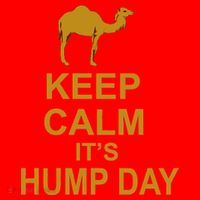 Keep calm, it's hump day Santa Hat thumb 1