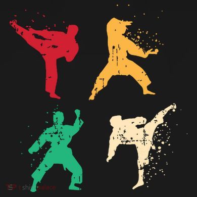 Karate For A Martial Art Enthusiast Women's V-Neck T-Shirt