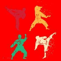 Karate For A Martial Art Enthusiast Santa Hat thumb 1