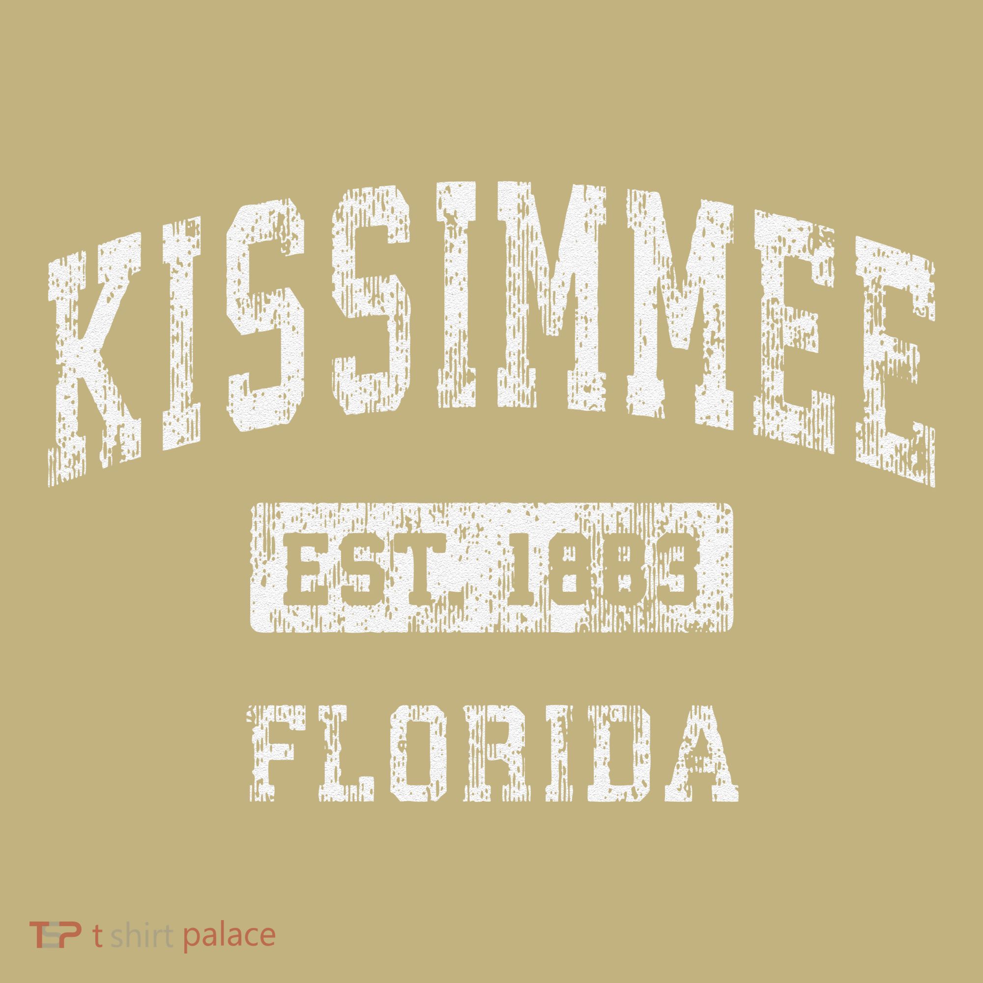 Kissimmee Florida Fl Vintage Established T-Shirt