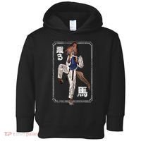 Kung Fu Horse Toddler Hoodie thumb 0