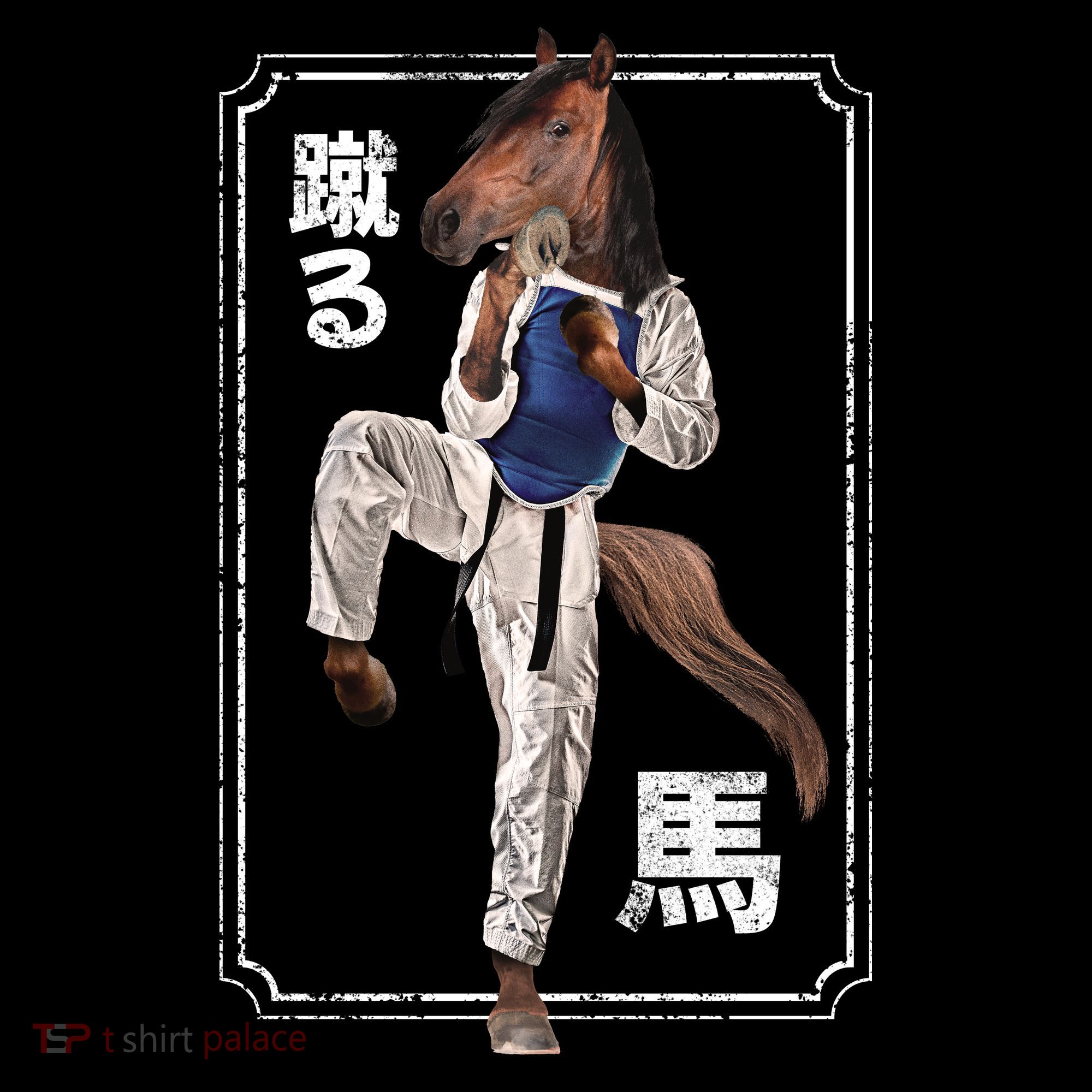 Kung Fu Horse Visor