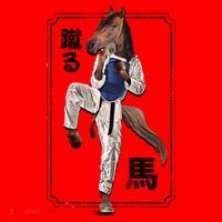 Kung Fu Horse Santa Hat thumb 1
