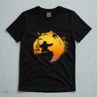Kung Fu Panda Po Tai Chi Sunset Silhouette T-Shirt thumb 5