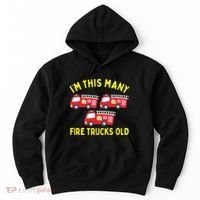 Kids Fire Truck 3rd Birthday Boy Firefighter 3 Three Hoodie thumb 0