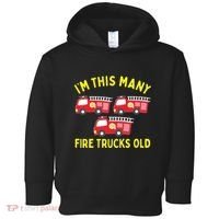 Kids Fire Truck 3rd Birthday Boy Firefighter 3 Three Toddler Hoodie thumb 0