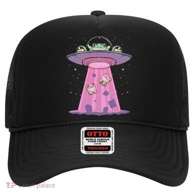 Kawaii Frogs Ufo Aliens Frog Hat