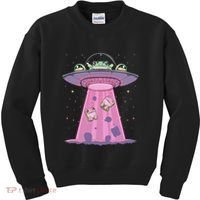 Kawaii Frogs Ufo Aliens Frog Kids Sweatshirt thumb 0