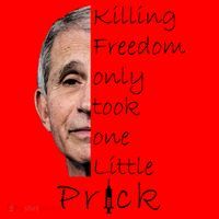 Killing Freedom Vaccine Dr Fauci Santa Hat thumb 1