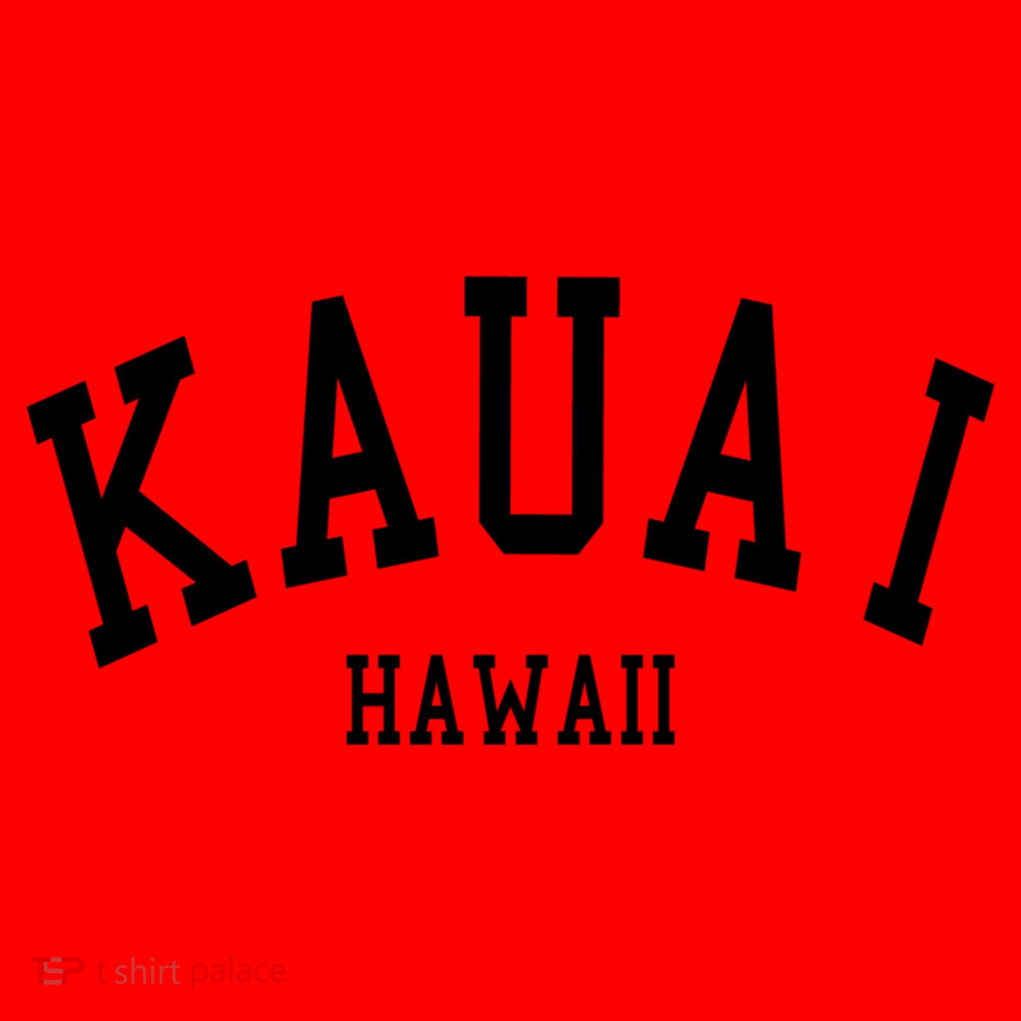 Kauai Gift Aloha Hawaii Tribe Beach Gift Santa Hat